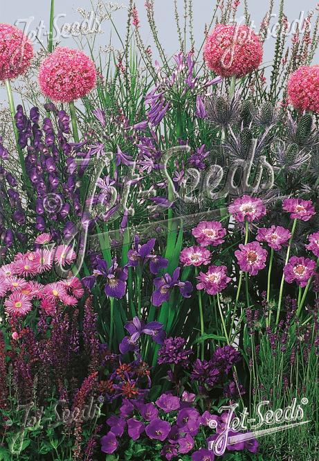 Staudenmischung blaue Farben, niedrig, bis 30 cm Portion(en)